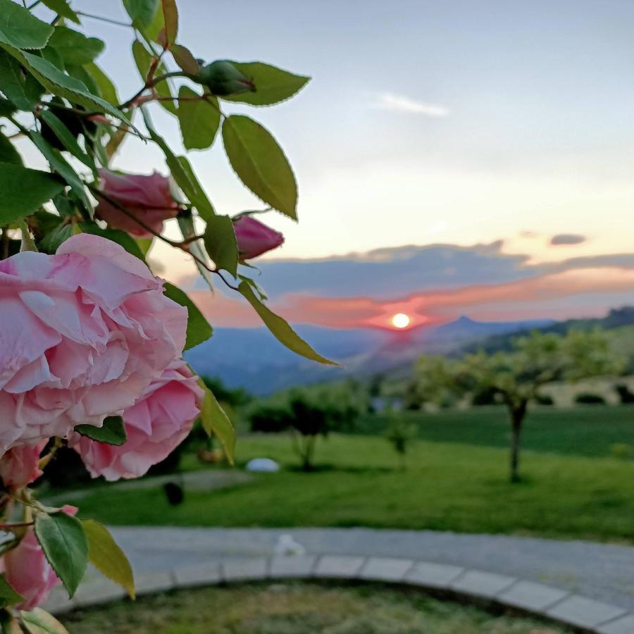 Agriturismo La Casetta - Ospitalita Rurale Familiare Montese エクステリア 写真