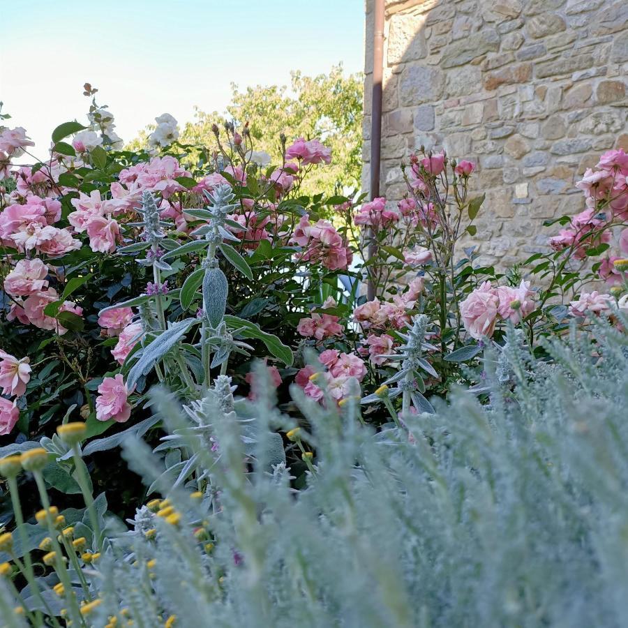 Agriturismo La Casetta - Ospitalita Rurale Familiare Montese エクステリア 写真